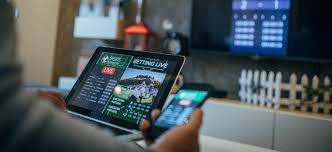 Explore Exciting Opportunities with Easywin Bet