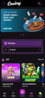 Casiny Casino Review - The Ultimate Gaming Experience Awaits