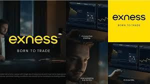 Choosing the Best Account for Exness