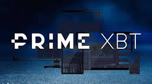 Understanding Risk Information About PrimeXBT