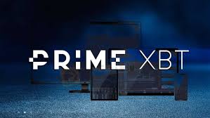 Understanding Risk Information About PrimeXBT
